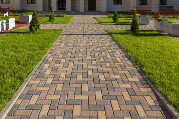 Best Local Driveway Pavers  in Jasper, TN